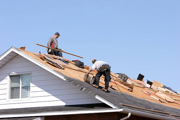 Siding Services in Colwyn, PA